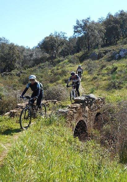 Consejos y lugares para aparcar la bici en Sevilla - Blog Ciclogreen