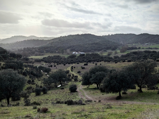 Gravel Experience: Sierra Morena Sevillana Occidental: Entre Haciendas, Cartujas y riberas