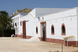Cortijo Bacalao