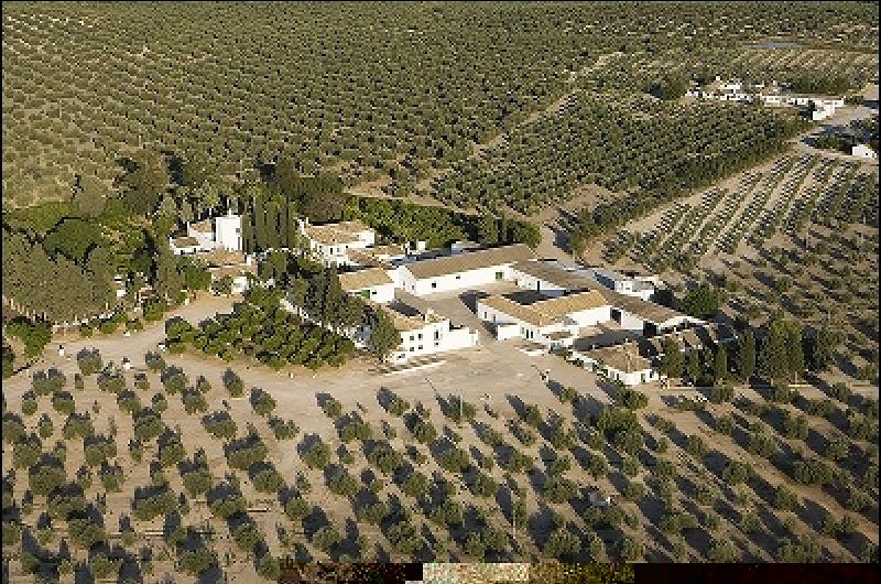Hacienda San Valentín