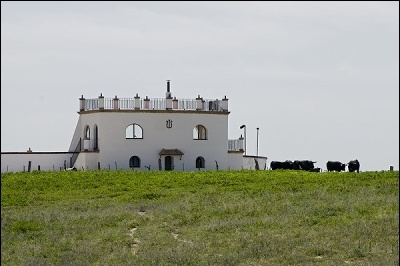 Cortijo Ojuelo