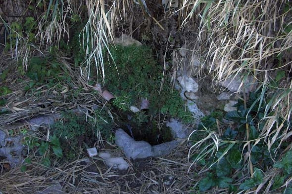 FUENTE DEL CHAPATAL