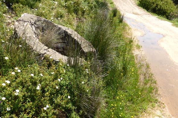 FUENTE DEL JARAL