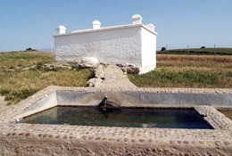 Manantial de alamedilla