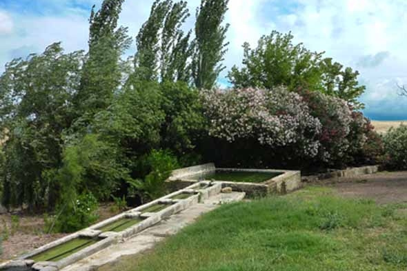 FUENTE DE LA ANGUILA