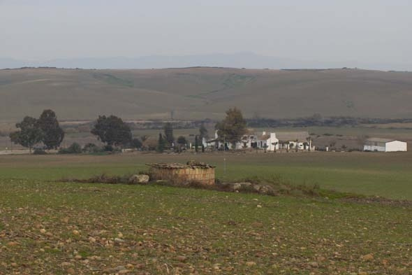 POZO DE FELIPE