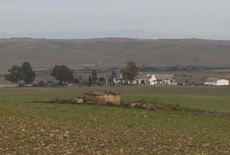 Pozo de felipe