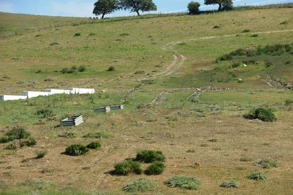 MANANTIAL DE LOS BERMEJALES