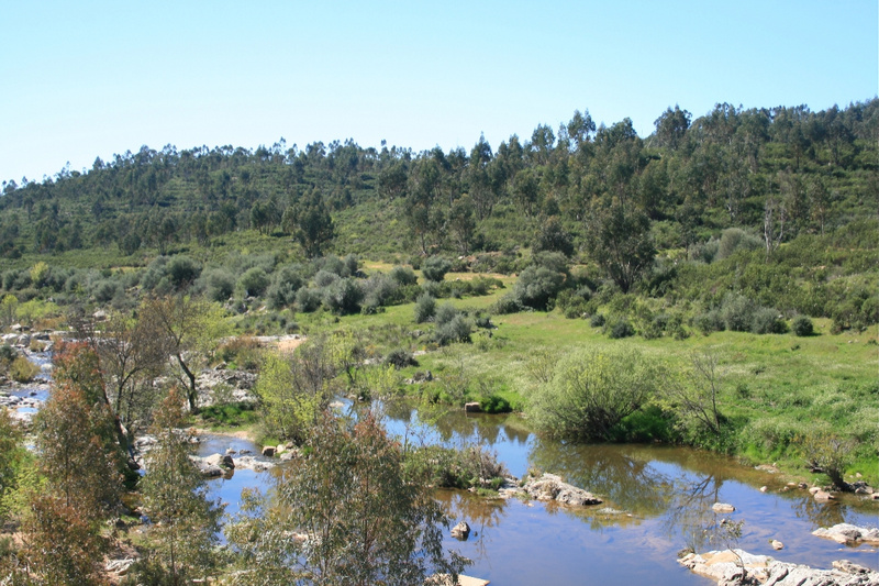 Rivera de Cala