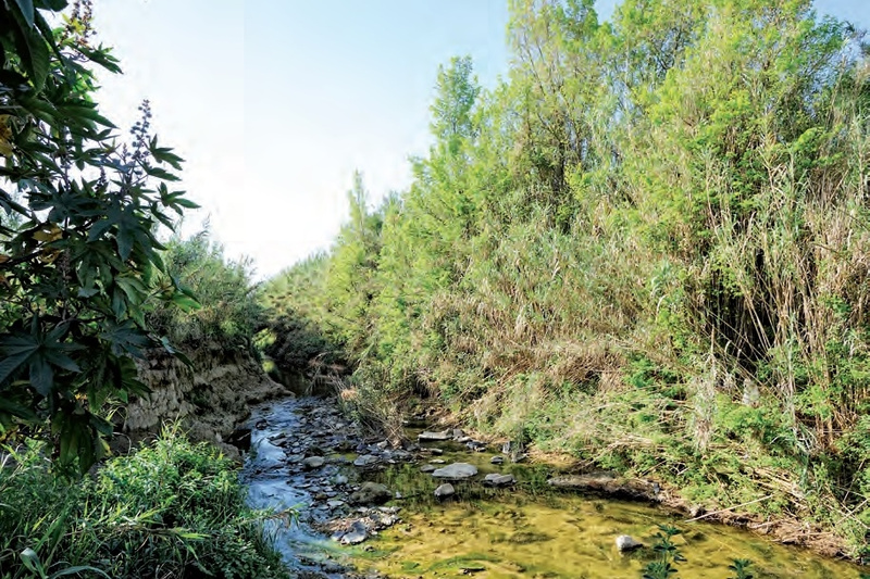 Río Pudio