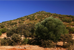 Cerro de los esparteros
