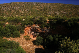 La algaidilla
