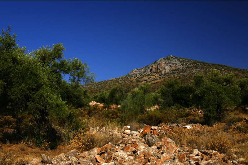 Tajo del Trapero