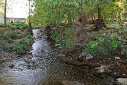 Rivera de guaditoca