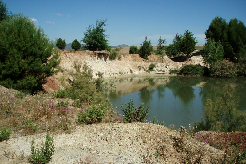 Laguna del Tejar