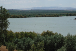 Embalse de la coronela