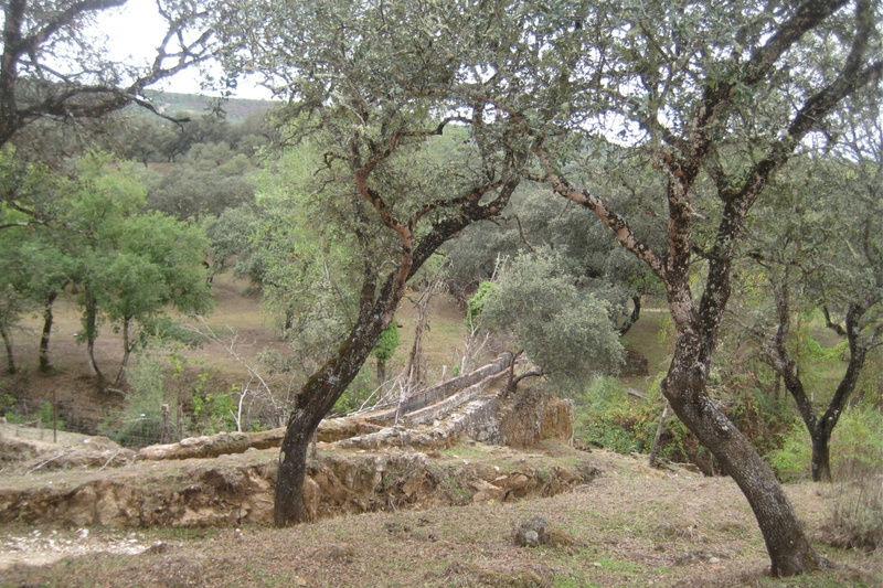DE LOS MOLINOS