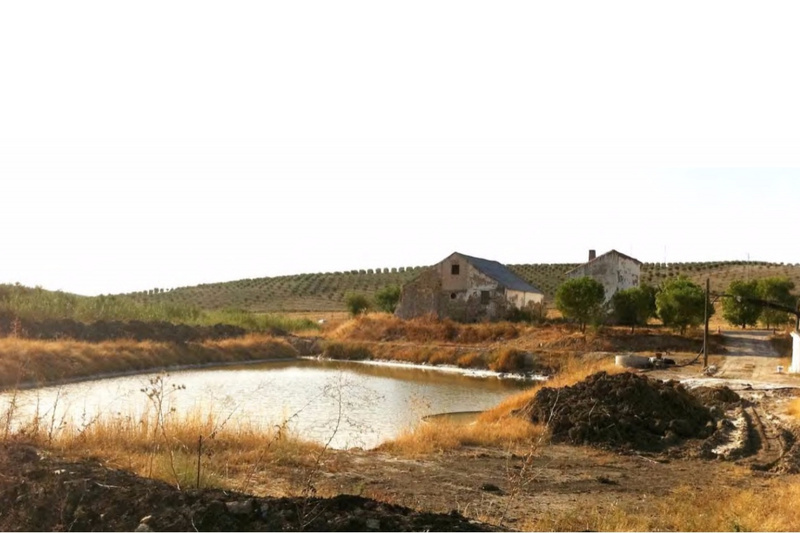 Salinas de la Torre
