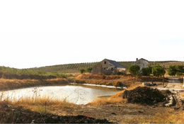 Salinas de la torre
