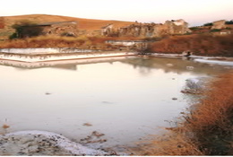 Salinas de balmaseda