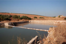 Salinas el salinoso