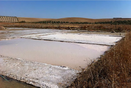 Salinas de san francisco o la vieja