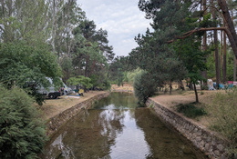Camping arlanza